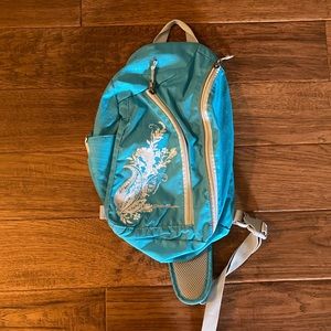 Eddie Bauer BackPack